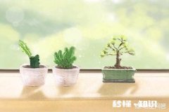 你介意你的男朋友矮吗