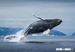 马上年底了，一年的辛苦奋斗，对于2020年有什么新的目标