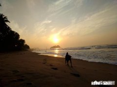 你想在家里过年，还是出去旅行过年你最想去哪里玩