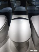 很纠结惠达智能马桶好还是箭牌智能马桶好