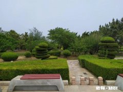 你印象最深因为自己的性格而影响了人生的事情是什么