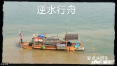 普世智慧思考的意义是什么