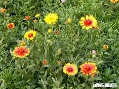 特别反感身边的人怎么办