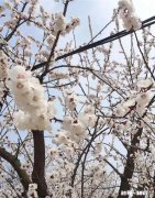 如何得知女孩是否喜欢你